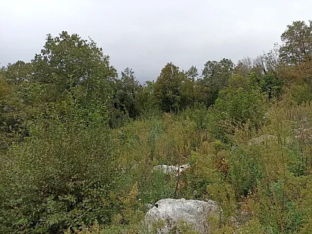 Plot in Blizikuce
