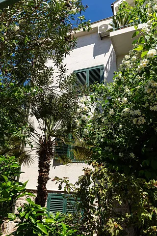 Spacious house in Budva — photo 42