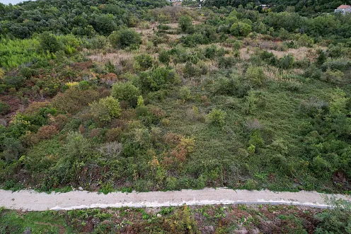 Plot in Gosici