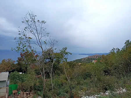 Plot in Blizikuce