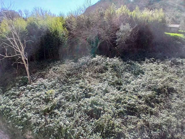 Plot 2,400 m² for Sale in Stoliv, Kotor – Near Hyatt Hotel — photo 5