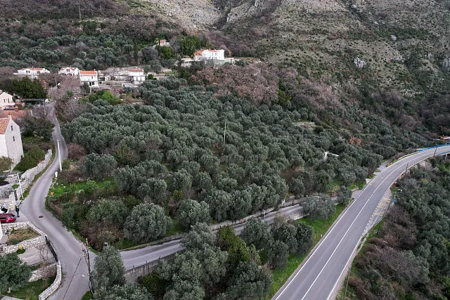 LAND FOR SALE – RUDINICE, PLUŽINE MUNICIPALITY — photo 9