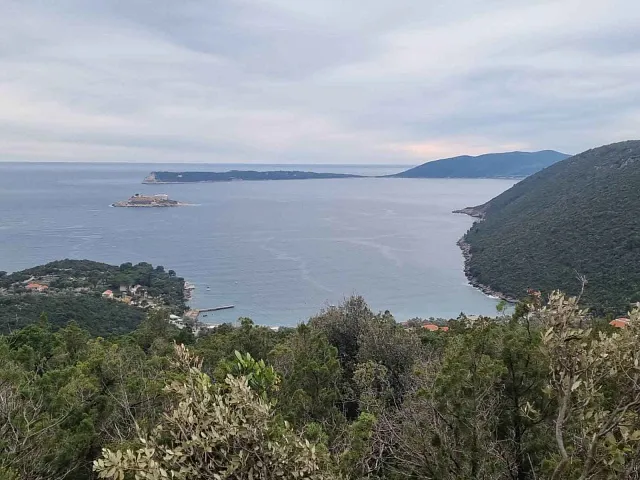 Panoramic Haven — photo 4