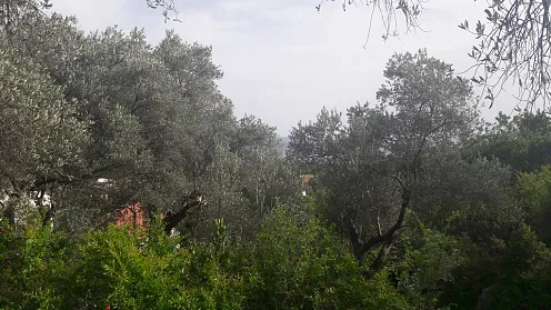 Land in Budva