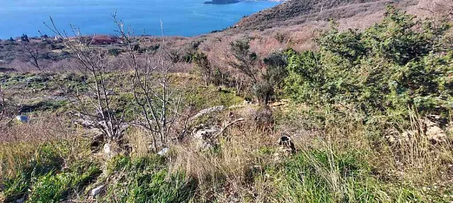 Plot in Blizikuce, Sveti Stefan, Budva — photo 4