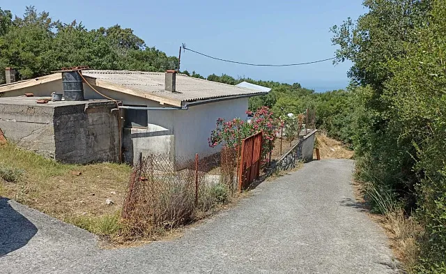 One-story house surrounded by forest — photo 4