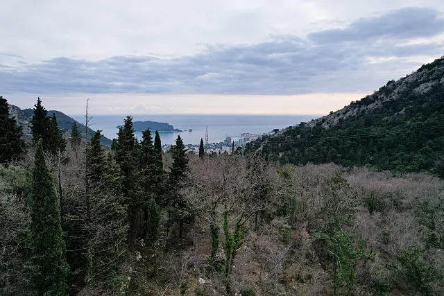 Plot in Markovichi — photo 17