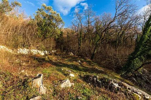 2170 m² Land in Kuljače