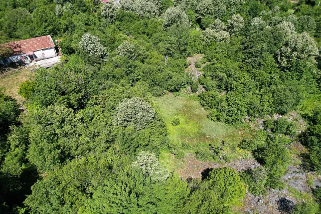 ATTRACTIVE LAND FOR SALE IN CETINJE – 1,000 m² BY THE ROAD — photo 10
