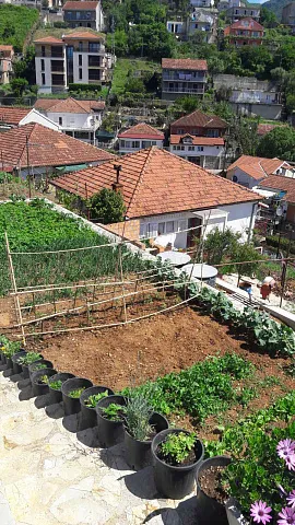 Plot in Zelenika