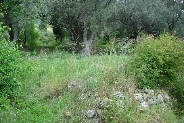 Land in Kotor — photo 4