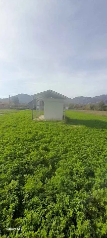 Plot for Sale in Grahovo — photo 4
