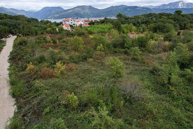Plot in Gosici — photo 13