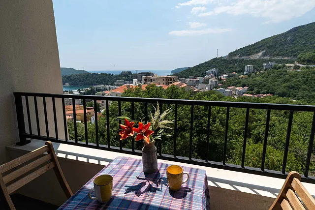 Furnished one bedroom apartment with a sea view and garage space in a new building