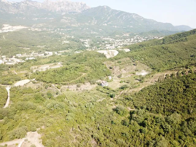  Plot in Radanovići, 83,000 m² — photo 5