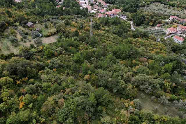 Plot in Kavac  — photo 12