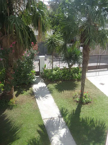 Spacious house surrounded by palm trees — photo 7
